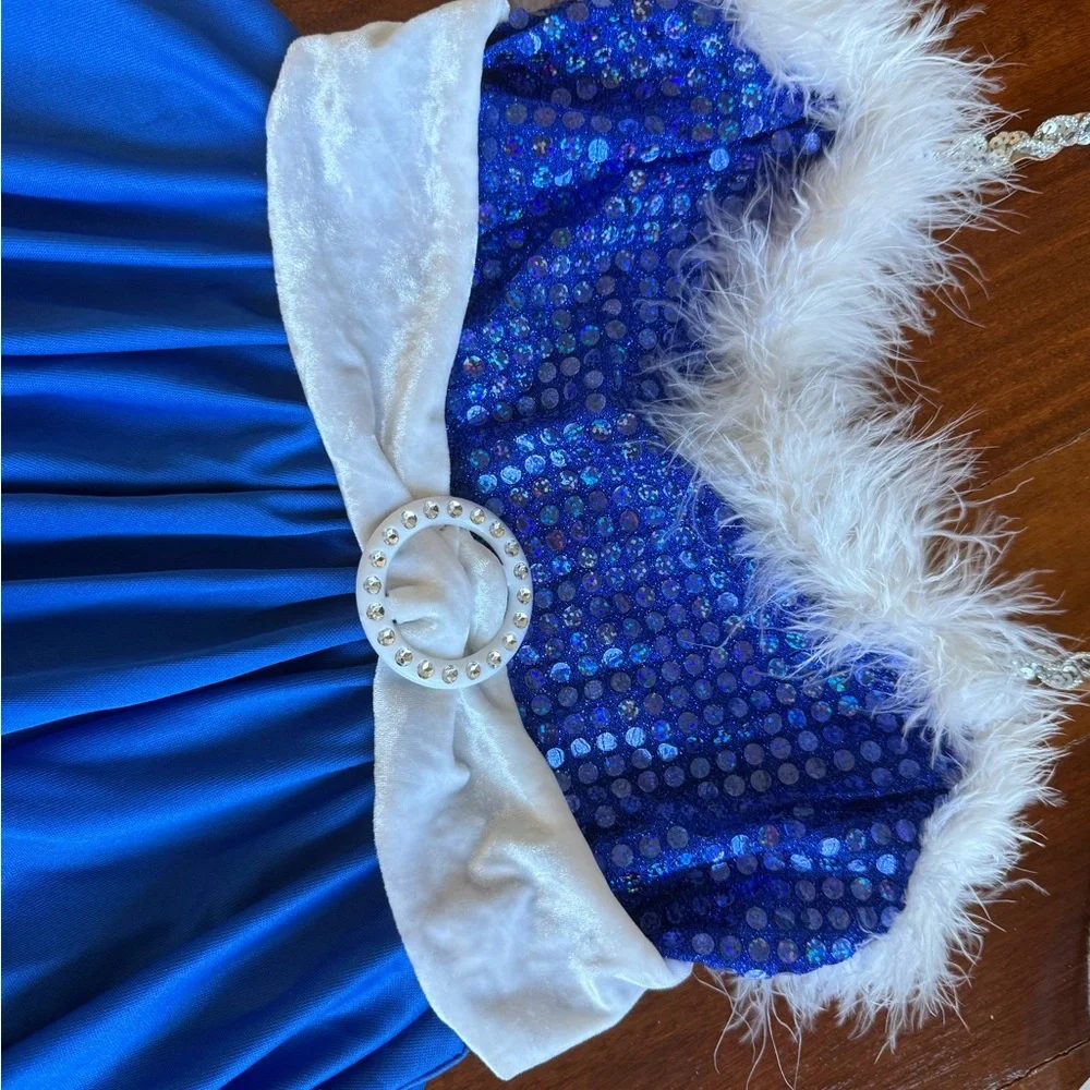 Costume Gallery Youth Girls Leotard Dance Costume dress Size X Large Child Blue
